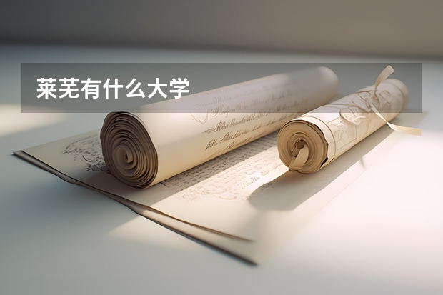 莱芜有什么大学